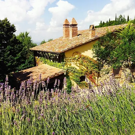 ヴィラ On The Hill Trasimeno Lake View パッシニャーノ・スル・トラジメーノ